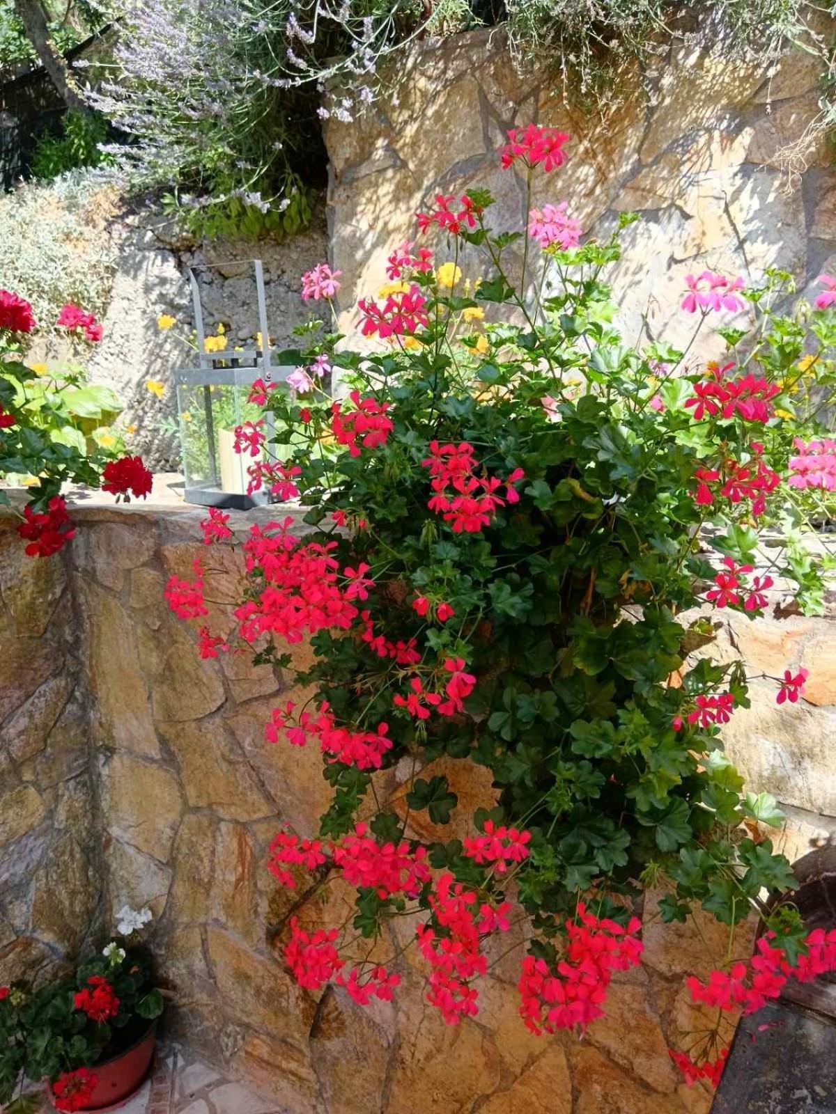 Gorazde-Centar Apartment Dış mekan fotoğraf